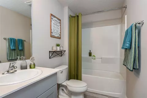 Bath - 15224 Maude Landing Loop, Wimauma, FL 33598 photo 3 of 3
