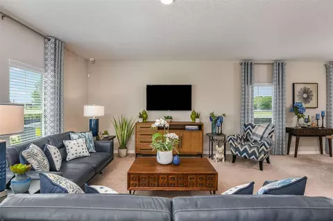 Living - 15224 Maude Landing Loop, Wimauma, FL 33598 photo 3 of 5