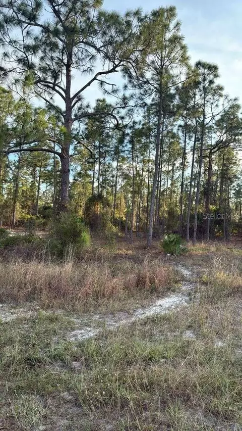 918 Belmont St E, Lehigh Acres, FL 33974