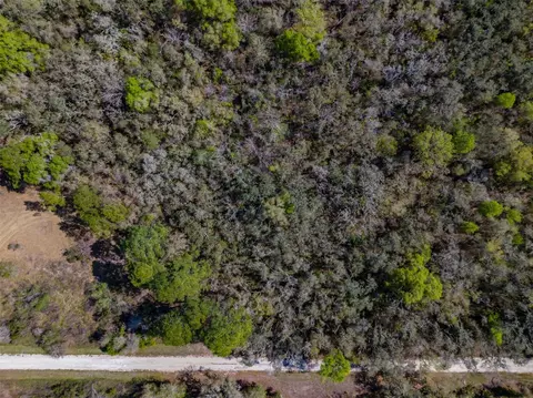 7252 Sonia Ave, Webster, FL 33597 photo 5