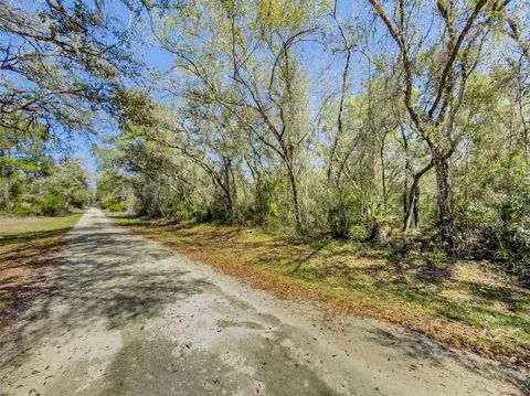 7252 Sonia Ave, Webster, FL 33597 photo 17