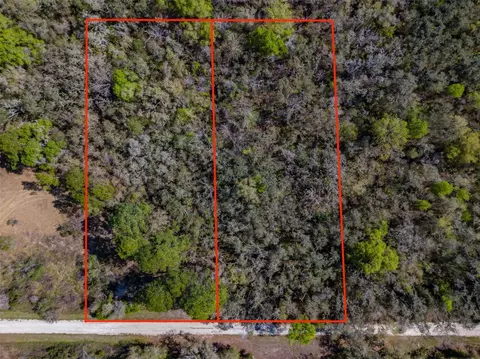 7252 Sonia Ave, Webster, FL 33597 photo 13
