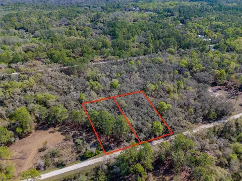 7252 Sonia Ave, Webster, FL 33597 photo 12
