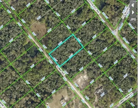 7252 Sonia Ave, Webster, FL 33597 photo 19