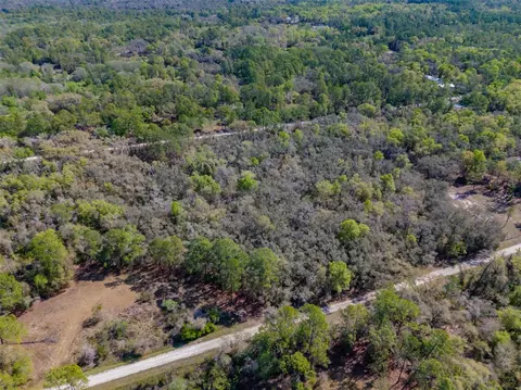 7252 Sonia Ave, Webster, FL 33597 photo 8