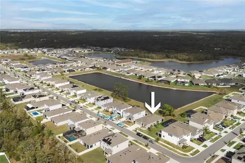 View/Area - 13166 Brookside Moss Dr, Riverview, FL 33579 photo 4 of 10