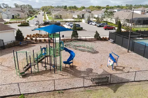 View/Area - 13166 Brookside Moss Dr, Riverview, FL 33579 photo 9 of 10