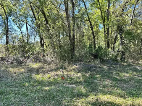 446 N Fitzpatrick Ave, Inverness, FL 34453