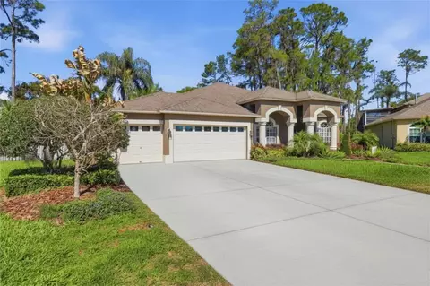 3629 Whistling Ln, Land O Lakes, FL 34639