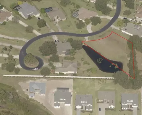 19915 Dolores Ann Ct, Lutz, FL 33549