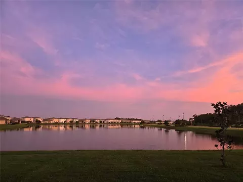 15982 Weathered Windmill Ter, Odessa, FL 33556