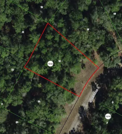 8518 N Escobar Rd, Dunnellon, FL 34434