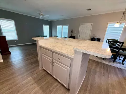 34572 Gardenia Dr N, Pinellas Park, FL 33781 photo 10