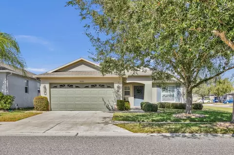 18565 Strombury Dr, Land O Lakes, FL 34638