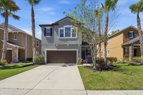1695 Ludington Ave, Wesley Chapel, FL 33543