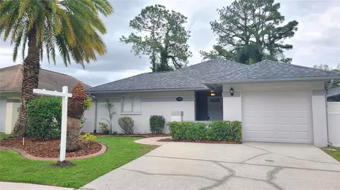 5938 Birchwood Dr, Tampa, FL 33625