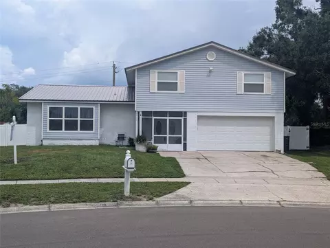6817 Mitchell Cir, Tampa, FL 33634