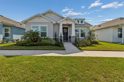 28570 Sweet Persimmon Dr, Wesley Chapel, FL 33543