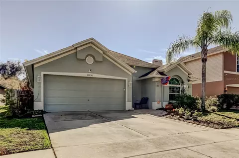 10290 Oasis Palm Dr, Tampa, FL 33615
