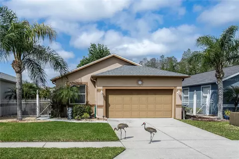 8415 Tarocco Ct, Land O Lakes, FL 34637