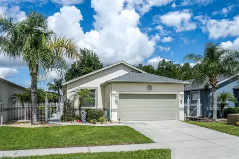 8415 Tarocco Ct, Land O Lakes, FL 34637