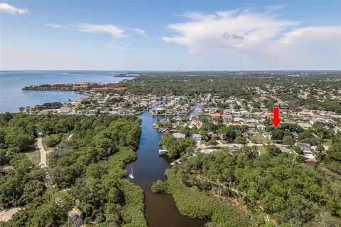 14 Baywood Dr, Palm Harbor, FL 34683