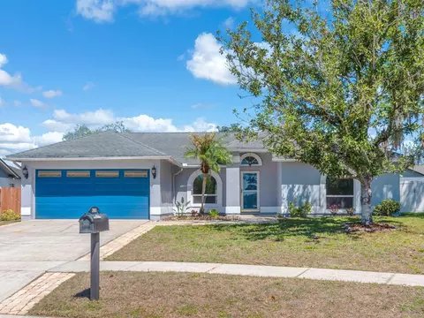 2805 Tammarron Ln, Brandon, FL 33511