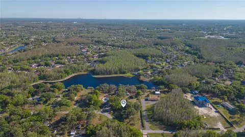 View/Area - 17616 Eagle Ln, Lutz, FL 33558 photo 11 of 11