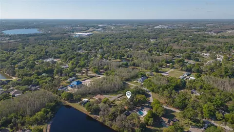 View/Area - 17616 Eagle Ln, Lutz, FL 33558 photo 8 of 11