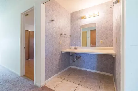 Bath - 17616 Eagle Ln, Lutz, FL 33558 photo 5 of 5