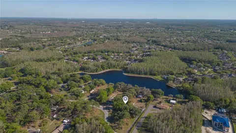 View/Area - 17616 Eagle Ln, Lutz, FL 33558 photo 4 of 11