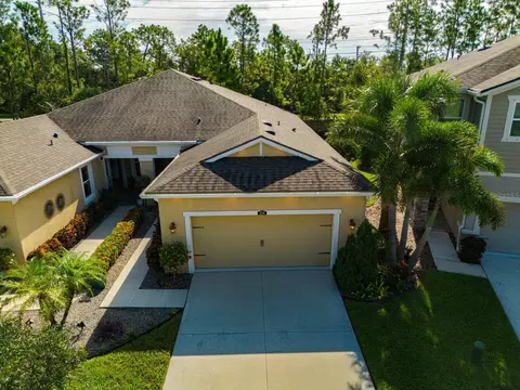 Other - 11716 Wrought Pine Loop, Riverview, FL 33569 photo 11 of 14