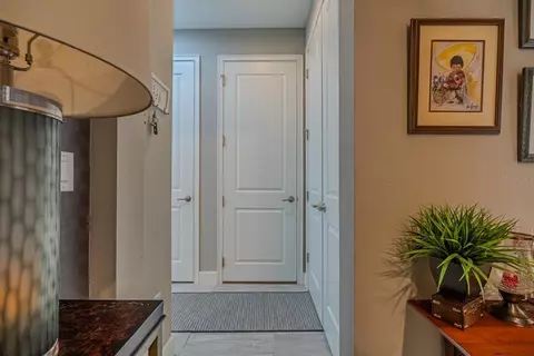 Entry Way - 11716 Wrought Pine Loop, Riverview, FL 33569 photo 3 of 9