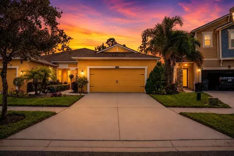 11716 Wrought Pine Loop, Riverview, FL 33569