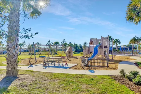 View/Area - 11716 Wrought Pine Loop, Riverview, FL 33569 photo 3 of 4