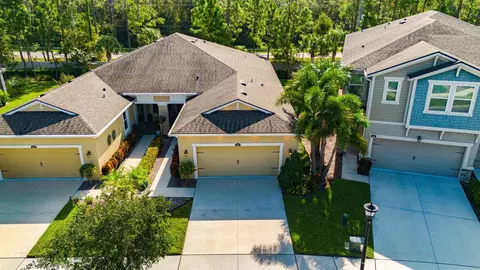 View/Area - 11716 Wrought Pine Loop, Riverview, FL 33569 photo 2 of 4