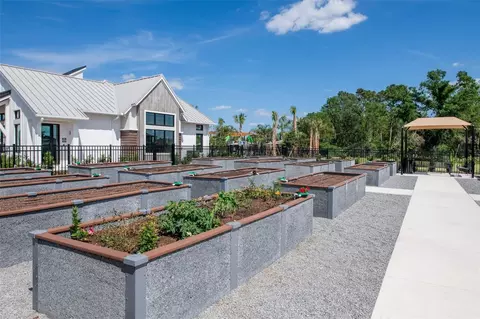 View/Area - 6607 Asbury Barnes Ln, Wesley Chapel, FL 33545 photo 9 of 11