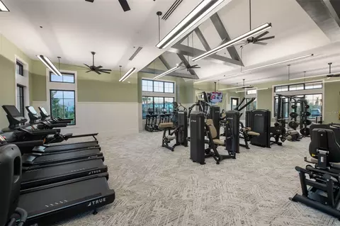 View/Area - 6607 Asbury Barnes Ln, Wesley Chapel, FL 33545 photo 4 of 11