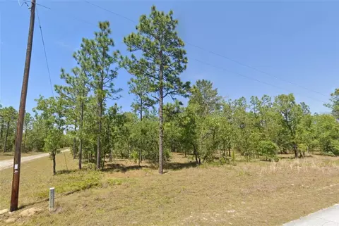 lot31 SE 133rd, Dunnellon, FL 34431