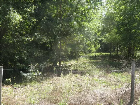 Undisclosed, San Antonio, FL 33576