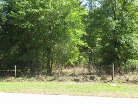 Undisclosed, San Antonio, FL 33576