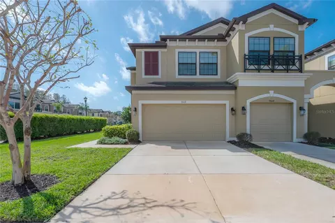 9102 Carolina Wren Dr, Tampa, FL 33626