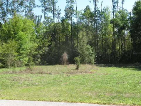 Undisclosed, San Antonio, FL 33576
