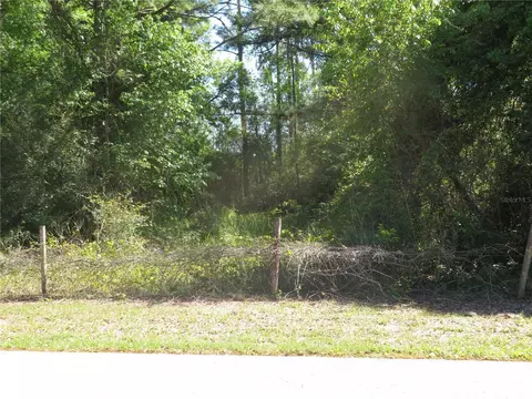 Undisclosed, San Antonio, FL 33576