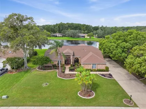 View/Area - 4311 River Birch Dr, Spring Hill, FL 34607 photo 22 of 22