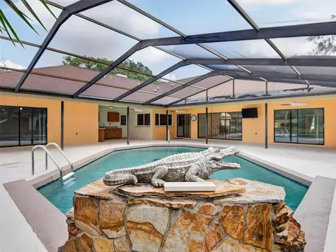 Exterior - 4311 River Birch Dr, Spring Hill, FL 34607 photo 10 of 14