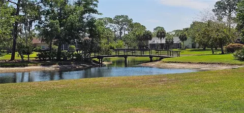 View/Area - 4311 River Birch Dr, Spring Hill, FL 34607 photo 7 of 22