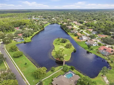 View/Area - 4311 River Birch Dr, Spring Hill, FL 34607 photo 15 of 22