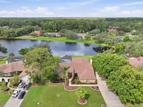 View/Area - 4311 River Birch Dr, Spring Hill, FL 34607 photo 3 of 22