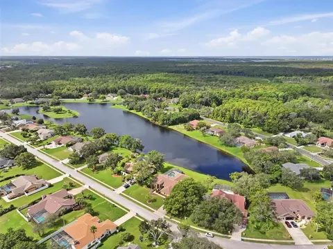 View/Area - 4311 River Birch Dr, Spring Hill, FL 34607 photo 20 of 22
